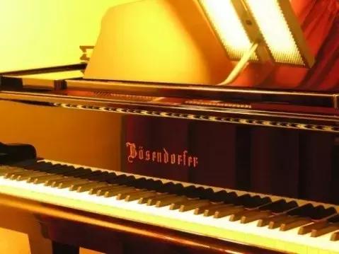 普拉姆伯格钢琴（选购钢琴品牌及音质等比较）(1)