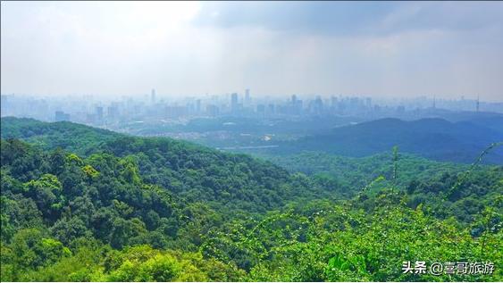 广州旅游景点介绍（广东广州十大景点有哪些）(3)