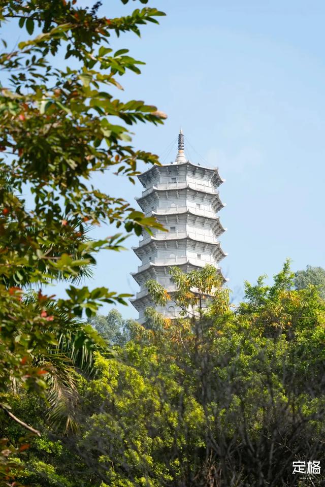 深圳有什么好玩的（过年深圳居然有这么多好玩的）(110)