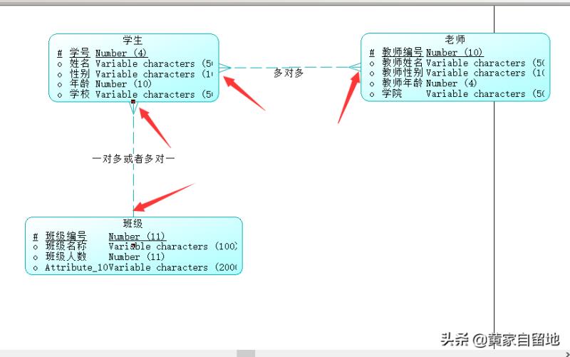 powerdesigner汉化教程（powerdesigner设置中文）(14)