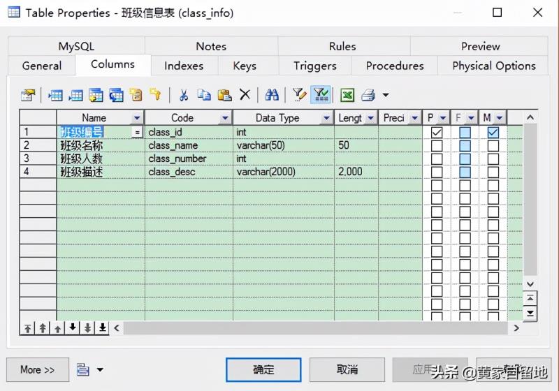 powerdesigner汉化教程（powerdesigner设置中文）(23)