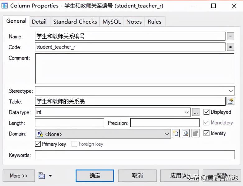 powerdesigner汉化教程（powerdesigner设置中文）(31)