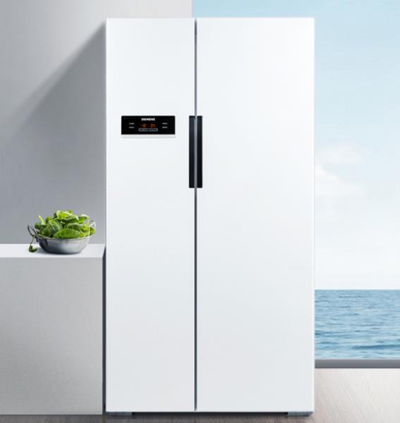 西门子冰箱系列和价格（西门子冰箱最新款型号和价格）(5)
