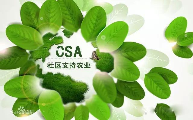 CSA是什么鬼(1)