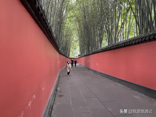 成都旅游景点攻略（巴适的成都该怎么玩）(13)