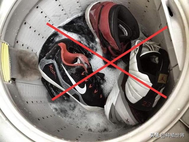 皮鞋不能水洗更不能用洗衣机洗(1)