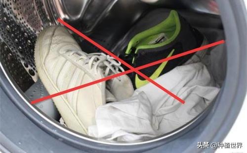 皮鞋不能水洗更不能用洗衣机洗(2)