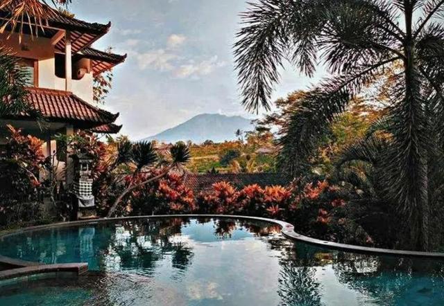 巴厘岛风景图片（巴厘岛大变样多款式的风景）(6)