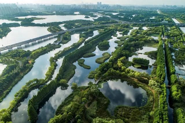 虎丘风景区介绍（试开园全新的虎丘湿地公园来啦）(1)