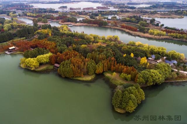 虎丘风景区介绍（试开园全新的虎丘湿地公园来啦）(2)