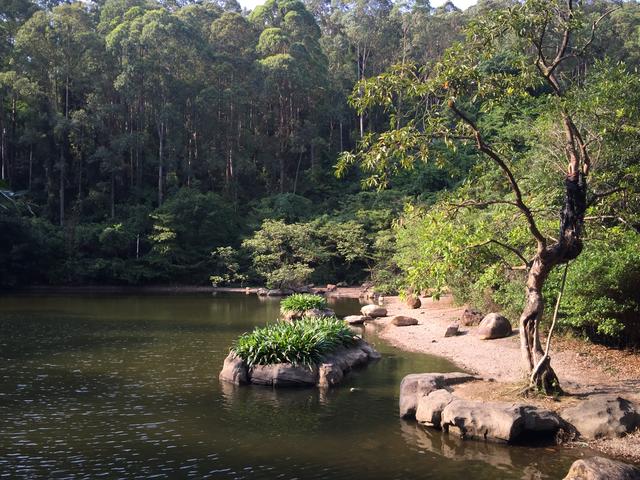 水濂山森林公园（东莞水濂山森林公园）(21)