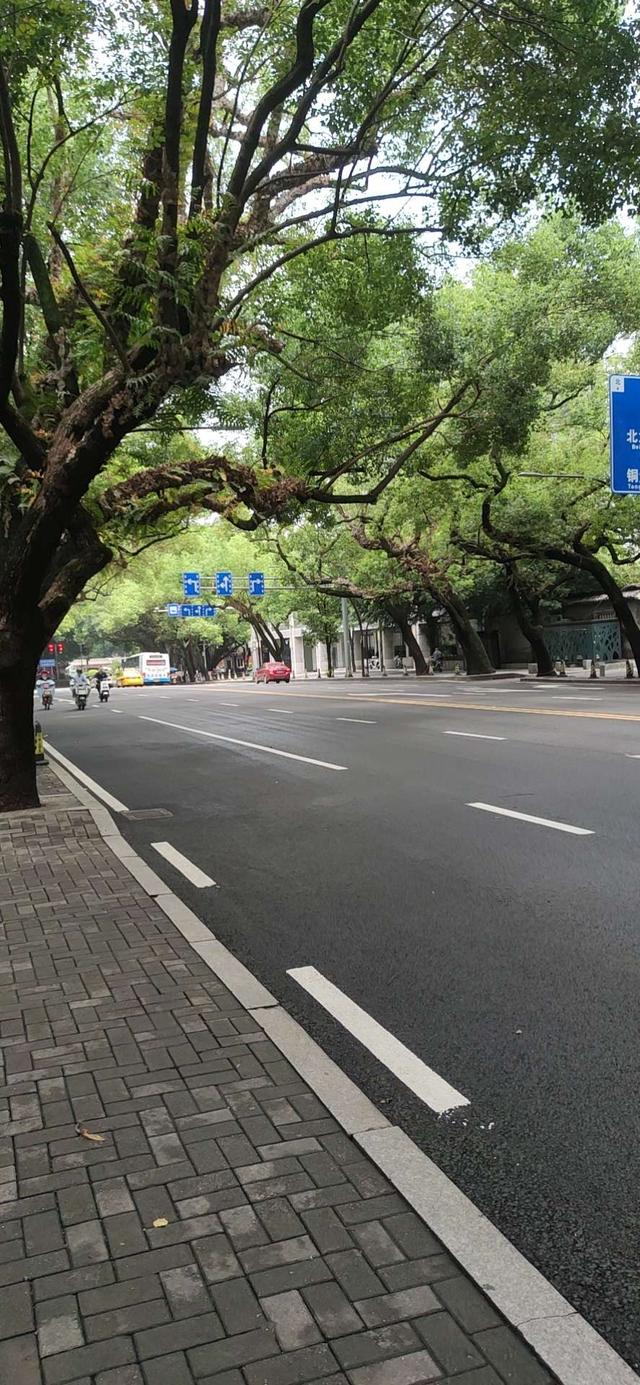 柔道和跆拳道的区别（柔道空手道与跆拳道）