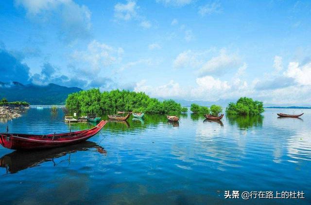惠州海边旅游景点（广东惠州私藏了10个绝美海岛）(5)
