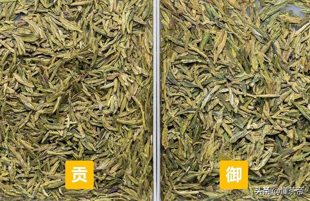 最好的龙井茶叶（龙井评测这两款市面常见的龙井茶）(3)