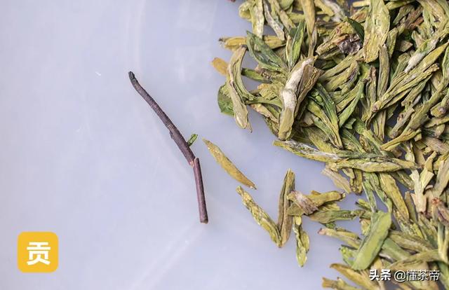 最好的龙井茶叶（龙井评测这两款市面常见的龙井茶）(4)