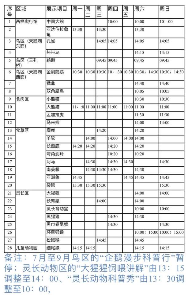 暑假去上海动物园试试不一样的玩法(5)