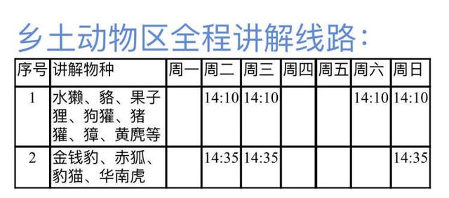 暑假去上海动物园试试不一样的玩法(6)