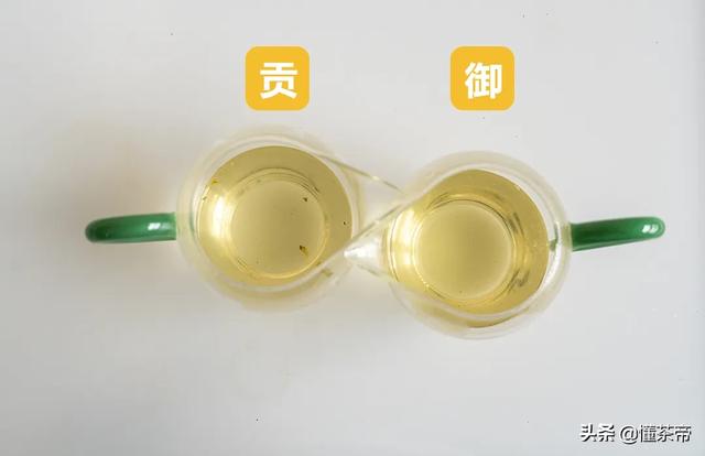最好的龙井茶叶（龙井评测这两款市面常见的龙井茶）(6)