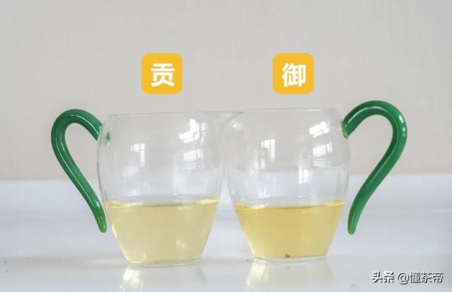 最好的龙井茶叶（龙井评测这两款市面常见的龙井茶）(9)