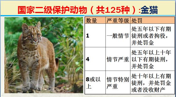 国家二级保护动物有哪些（国家最新125类二级野生保护名录）(30)