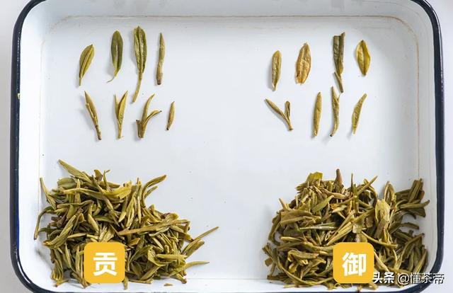 最好的龙井茶叶（龙井评测这两款市面常见的龙井茶）(11)