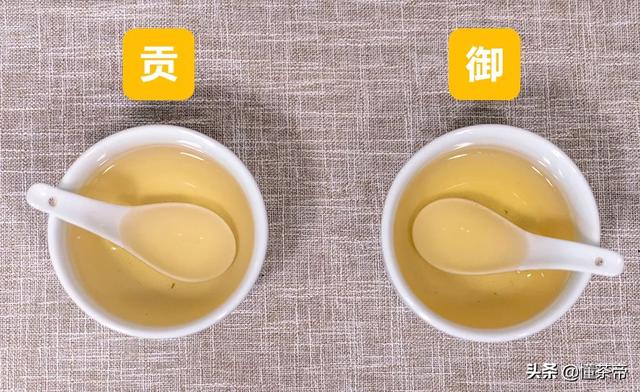 最好的龙井茶叶（龙井评测这两款市面常见的龙井茶）(12)