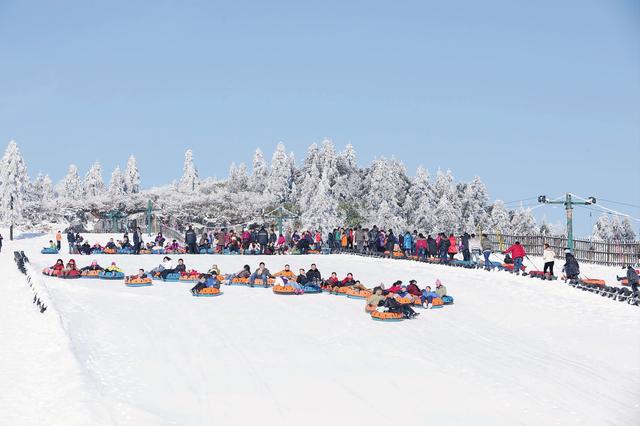 仙女山旅游攻略（武隆仙女山旅游攻略）(2)