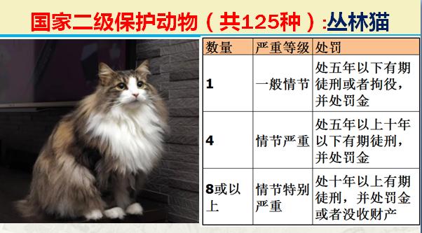 国家二级保护动物有哪些（国家最新125类二级野生保护名录）(47)