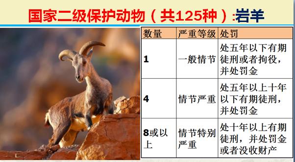 国家二级保护动物有哪些（国家最新125类二级野生保护名录）(48)