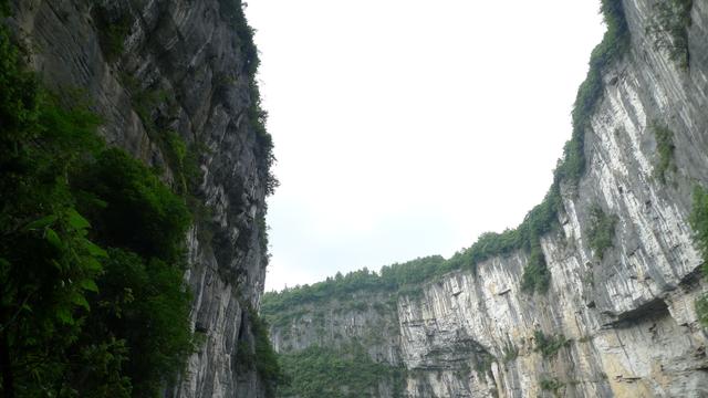 仙女山旅游攻略（武隆仙女山旅游攻略）(5)