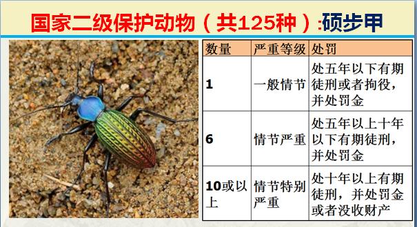 国家二级保护动物有哪些（国家最新125类二级野生保护名录）(63)