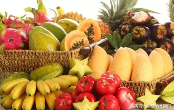 三亚水果特产有哪些（三亚这十几种特色热带水果）(1)