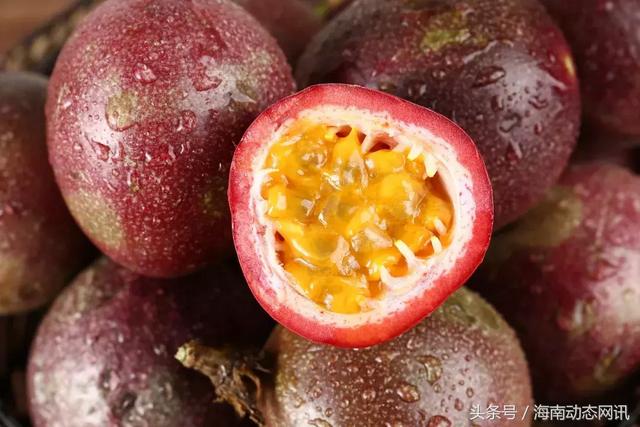 三亚水果特产有哪些（三亚这十几种特色热带水果）(7)
