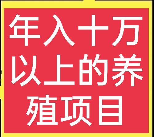 六个特种养殖项目(1)