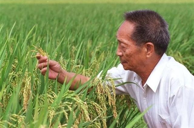 中国十大杰出人物（我国著名的十位科学家）(6)