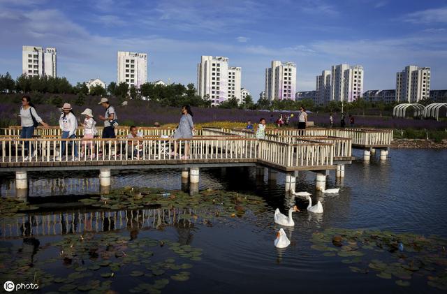 金昌是哪个省的城市（甘肃省金昌市行政区划）