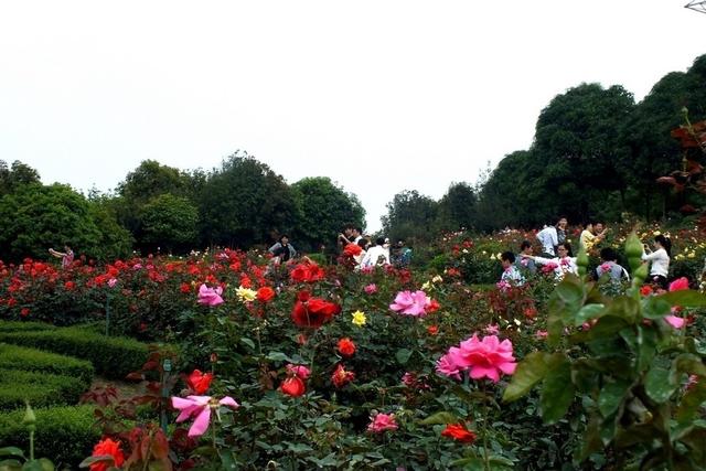 中山好玩的地方（中山这18个景点来此旅游不容错过）(3)