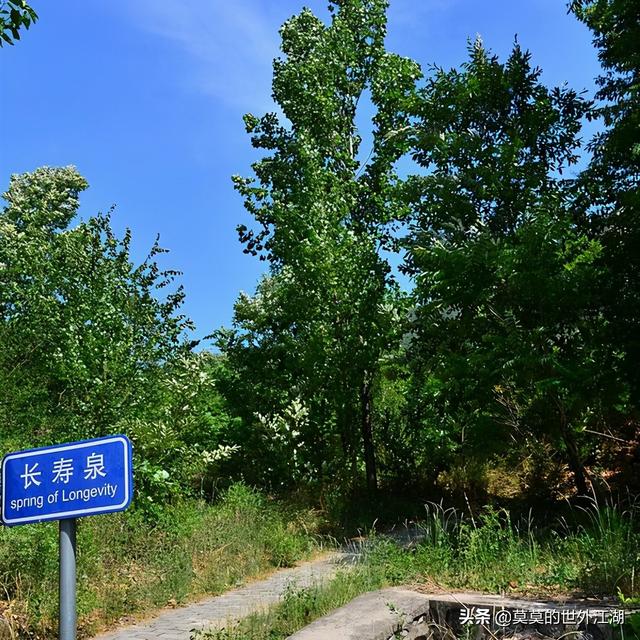 大杨山国家森林公园（北京昌平国家级森林公园却人少景美）(3)