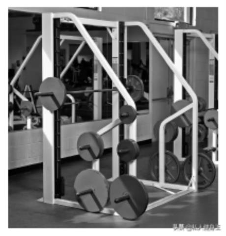 健身房都有哪些器材（健身房中常见的器械）(6)