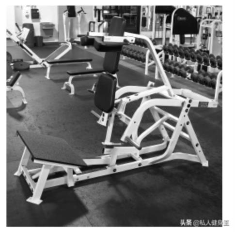 健身房都有哪些器材（健身房中常见的器械）(10)