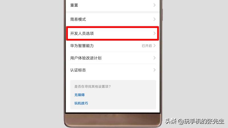 华为手机打开开发者选项有什么好处（华为手机虚拟位置设置方法）(5)