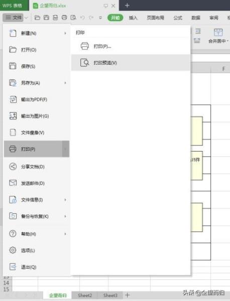 excel打印显示批注（所有批注方法图解）(2)