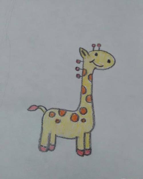 长颈鹿图片简笔画彩色（儿童长颈鹿图画）(1)