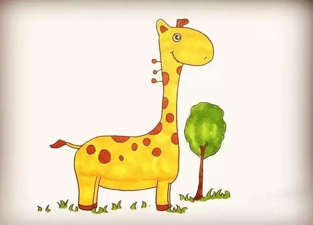 长颈鹿图片简笔画彩色（儿童长颈鹿图画）(5)