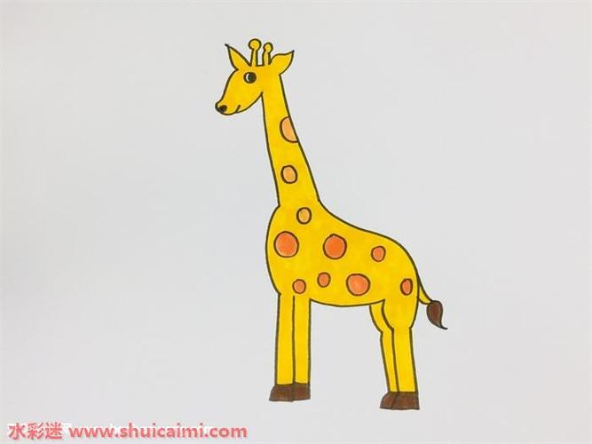 长颈鹿图片简笔画彩色（儿童长颈鹿图画）(7)