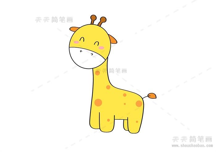 长颈鹿图片简笔画彩色（儿童长颈鹿图画）(8)