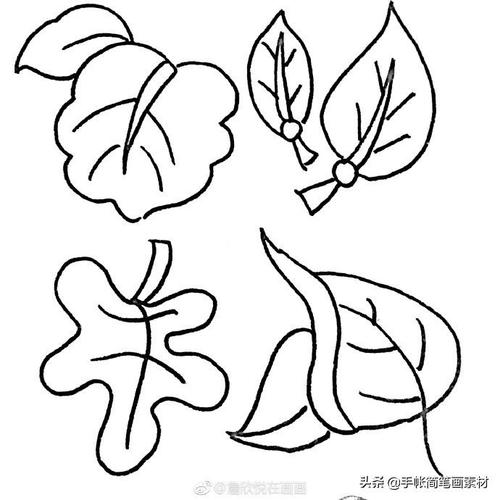 树叶logo简笔画（树叶简笔画渐变色）(8)