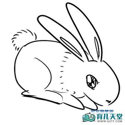 简笔画小白兔怎样画（兔子简笔画图片大全）(6)