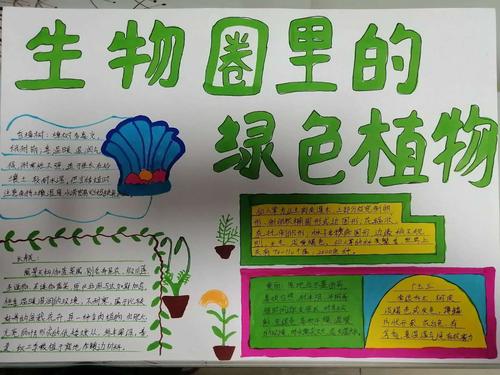 植物自然手抄报内容（植物自然笔记手抄报简单）(4)