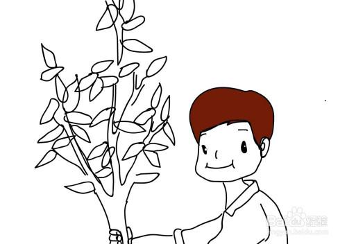 男孩抱住大树的简笔画（儿童简笔画大树带叶子）(3)